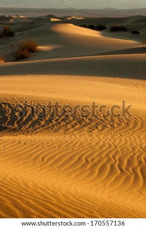 Sunset over the Sand dunes of Mesquite Flats desert, Death Valley National Park, California