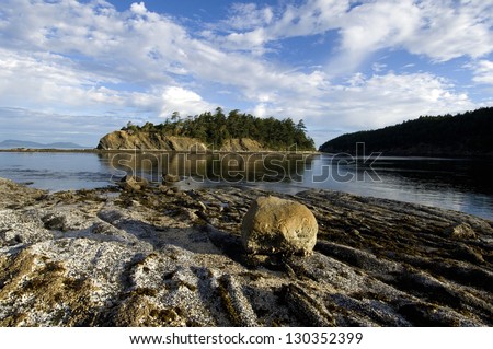 Rocky shore of Sucia Island at Low Tide, San Juan Islands, Washington State / Pacific Northwest Summer Morning