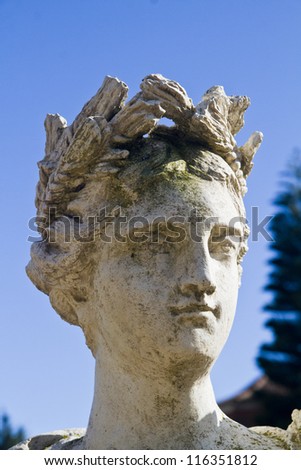 Close up view of a stone head of a Roman statue.