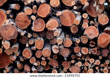 View of a pile of wooden logs, result of the timber industry.