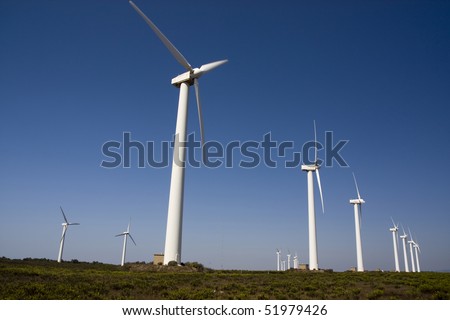 View of a field of giant windmills.
