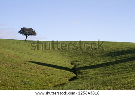 View of empty green hills with very few scattered trees on Alentejo, Portugal.