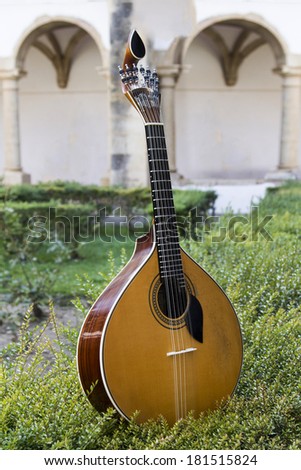 Close view of a traditional Portuguese guitar on top of an arranged garden.