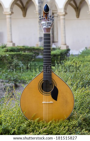 Close view of a traditional Portuguese guitar on top of an arranged garden.