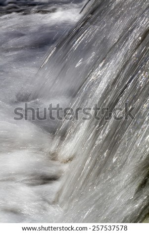 Close up view of a fresh stream of water on the forest.