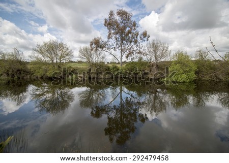 View of a beautiful scenic landscape of a fresh stream of water in the Alentejo, Portugal.