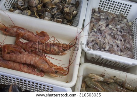 fresh shrimps, oysters and mussels on white plastic boxes