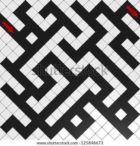 Aerial view of a black and white maze with entry and exit