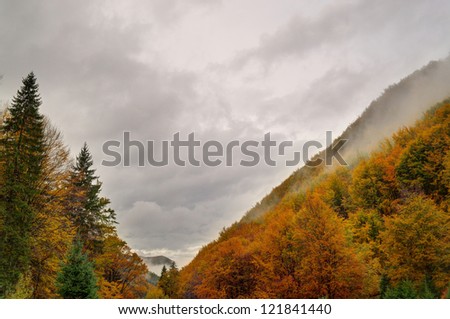 Autumn landscape in cloudy weather.