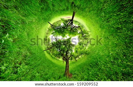 Stereographic projection of a green field with trees. 360 degree panorama. Tunnel panorama.