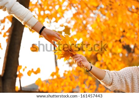 Hand reaching out to touch leaves against out of focus background