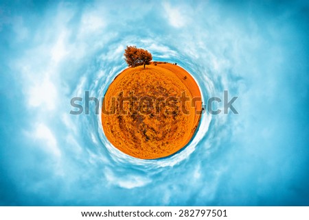 Stereographic panoramic projection of an orange field in the summer with an aesthetic tree. 360 degree panorama.
