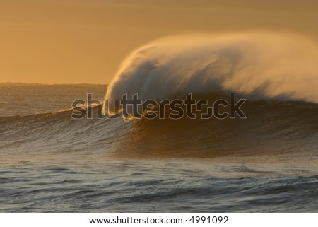 Spray plume of a large winter wave at dawn.
