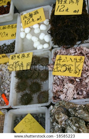 Various sea creatures for sale in a market in Shanghai - China