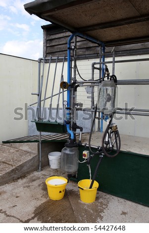 A cow milking machine