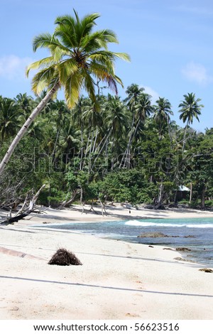 Tropical beach scene - Mentawai Islands Indonesia This remote area of Indonesia is home to some beautiful beaches and some of the best surf breaks in the world.