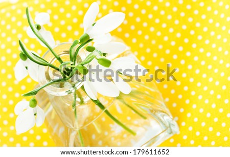 Fresh snowdrops in transparent vase on yellow napkin isolated on white