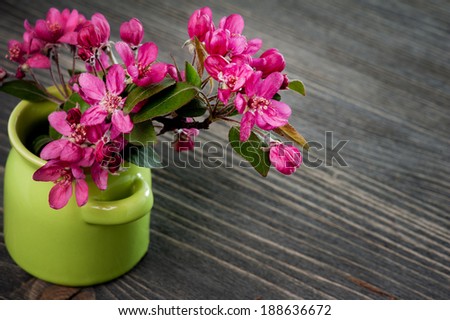 Pink cherry blossom in a green pot on a dark wooden background