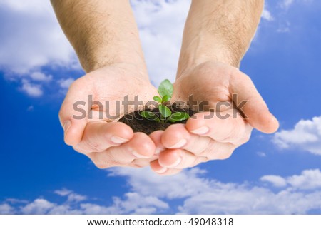 Green plant in hands on blue sky