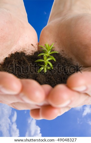 Green plant in hands on blue sky