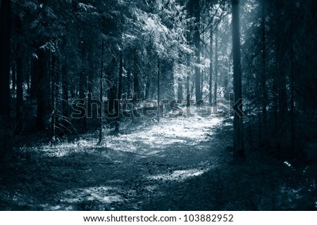 Path to light through a dark forest at night