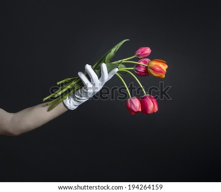 Man\'s hand holding a bouquet of red tulips on a black background.