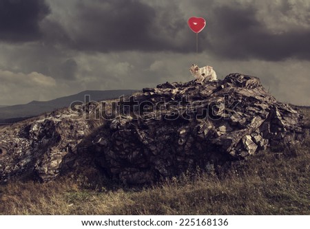 Little dog tries to fly with her ??tied to a balloon standing on the mountain.