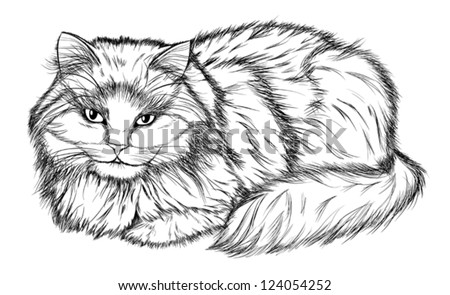 Lying Cat, Black And White Pencil Drawing Stock Vector 124054252 ...