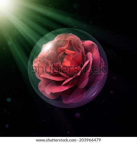 Hot Cocoa Rose in a glass globe rays of light on a dark background