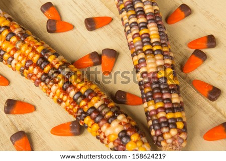 Indian Corn and Candy Corn close up