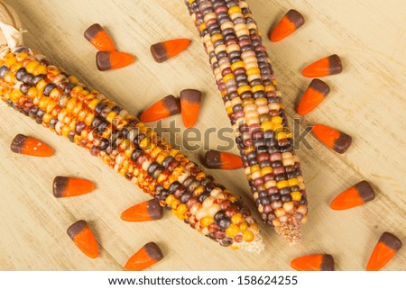 Close up of Indian Corn and Candy Corn
