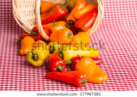 Mini sweet bell peppers spilling out of wicker basket close up