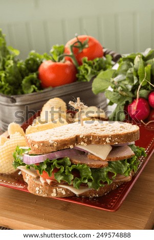 Lunch sandwich with turkey ham and swiss cheese with potato chips and vegetables