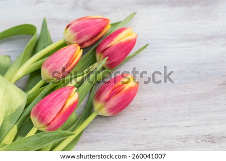 Colorful red and yellow spring flower tulips on white wood table