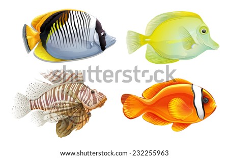 A set of 4 tropical fish