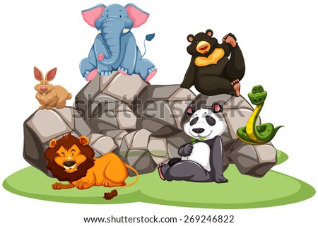 Animals in the zoo sitting on rocks and grass Animals in the zoo sitting on rocks and grass