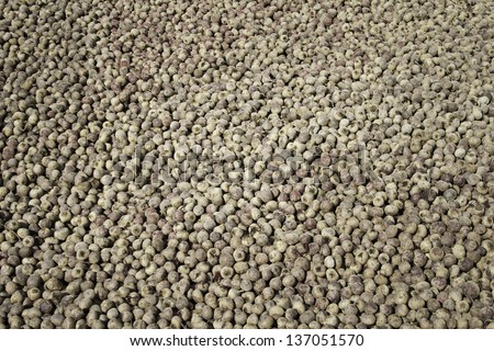 Harvest potatoes harvested, Food and Agriculture