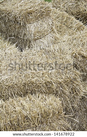 Straw haystack inside house, nature and nipples