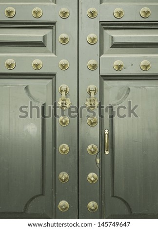 Bronze decorative door and green wood, construction and architecture