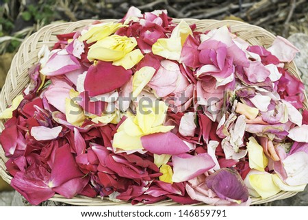 Flower petals and yellow roses in wicker baskets, nature