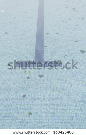 Dirty pool with autumn leaves in winter, water