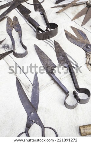 Cutting scissors and rusty iron wool business