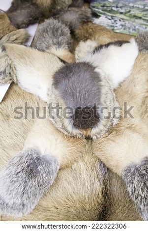 Rabbit fur hat, fashion and accessories