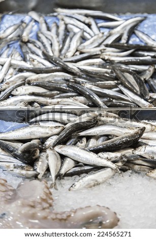 Sardines ice fish, food and sale