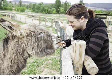 Woman feeding donkey farm, animals and nature