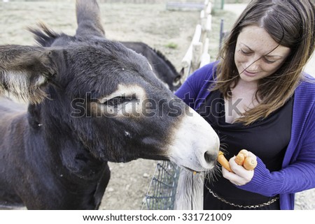 Woman playing naturally donkey farm animals