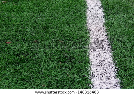 artificial grass soccer arena