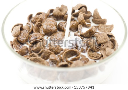cereals isolated on white background
