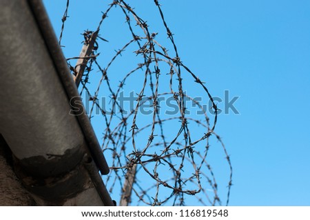 Old barber wire over the prison wall