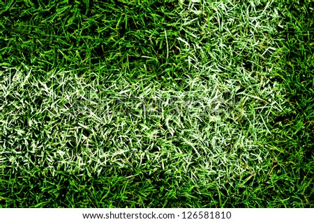 football (soccer) pitch artificial lawn on stadium at evening